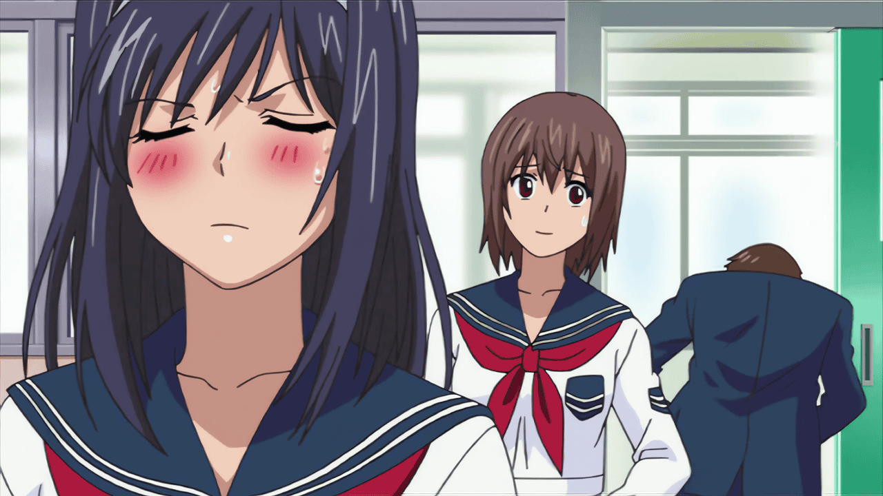 Ane Koi: Suki Kirai Daisuki