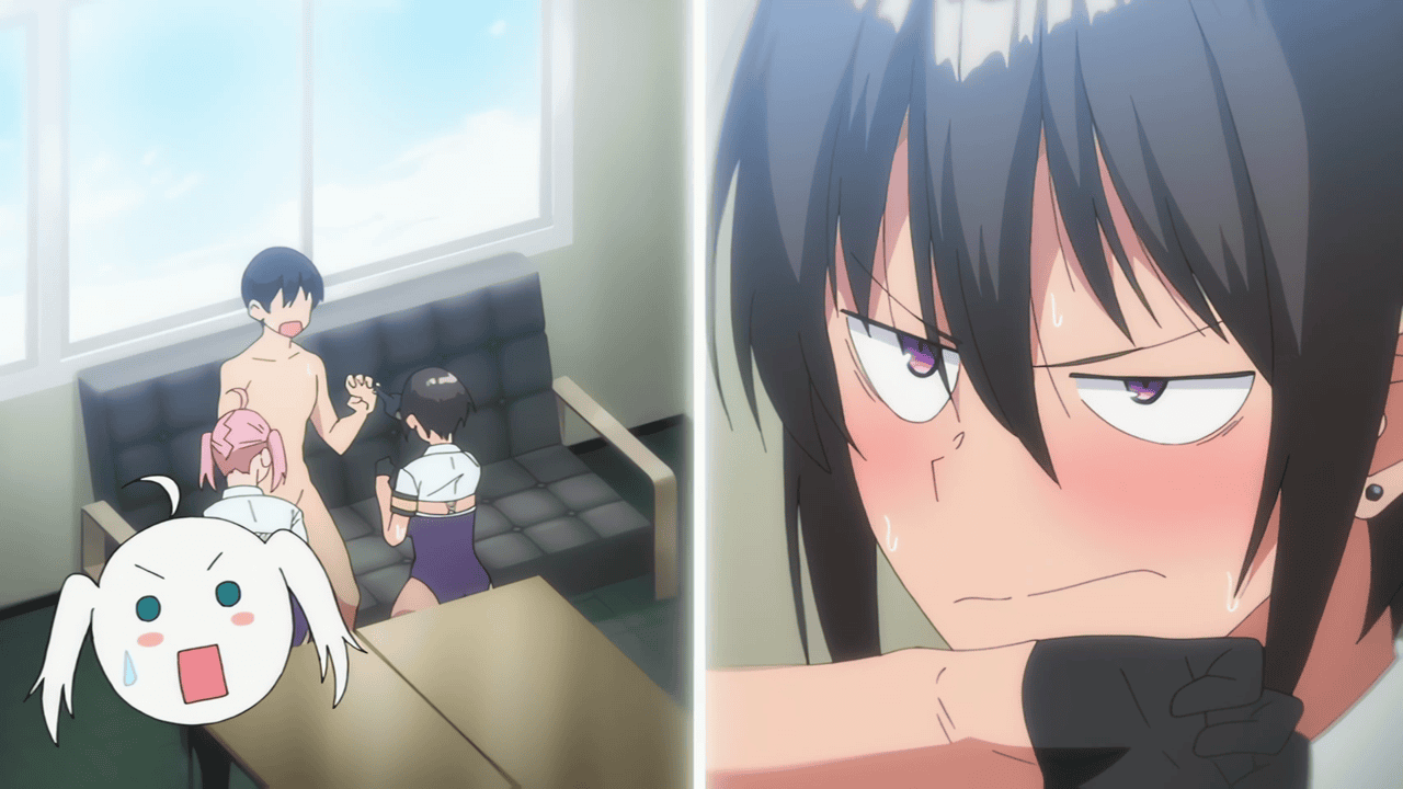 Fuuki Iin to Fuuzoku Katsudou