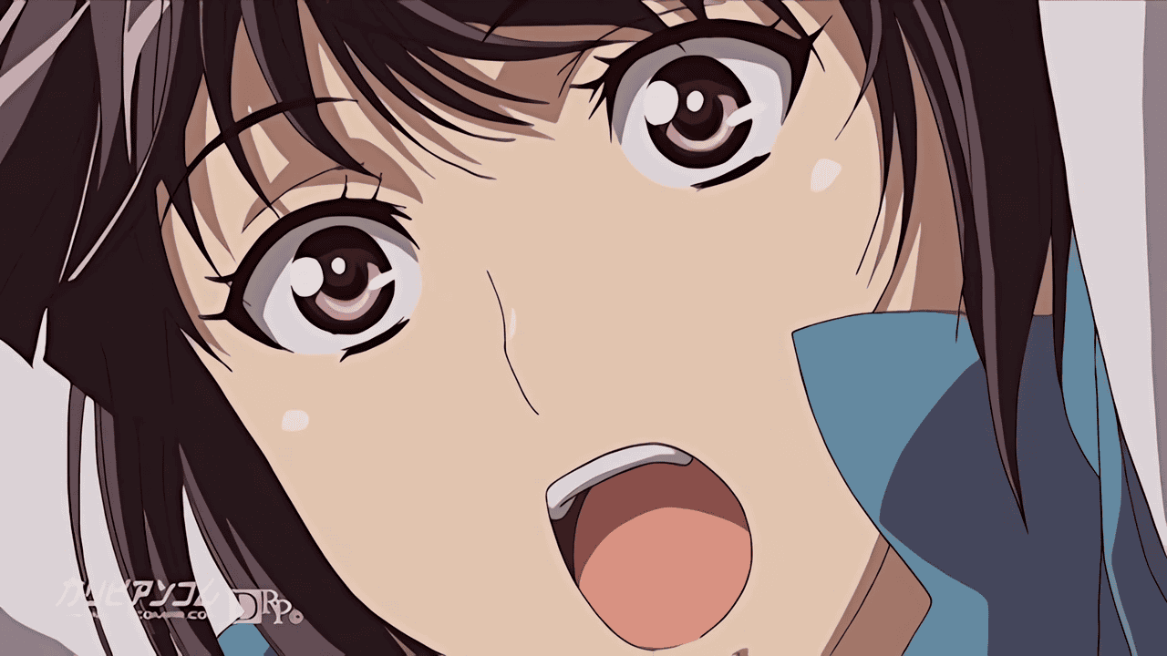 Samurai Hormone: THE ANIMATION